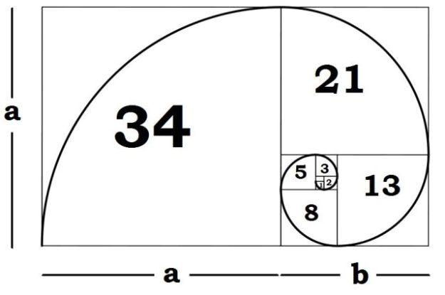 fibonacci-spiral-explanation